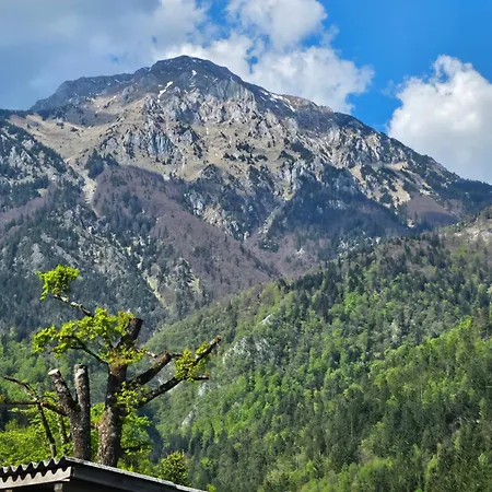 Apartma Storzic Διαμέρισμα Preddvor