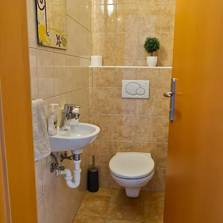 Apartma Storzic アパート *