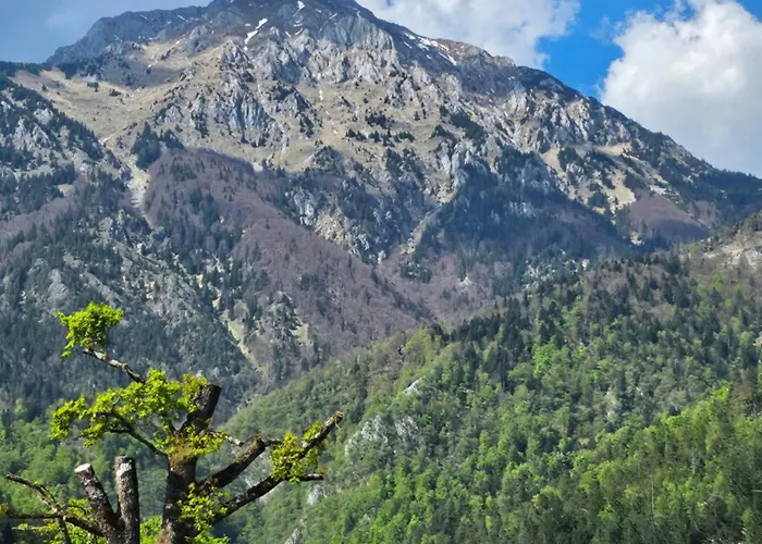 Apartma Storzic Appartamento Preddvor